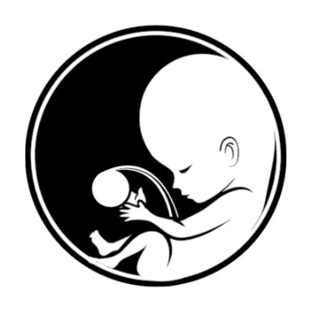 Logo Dra. Odette Noyola