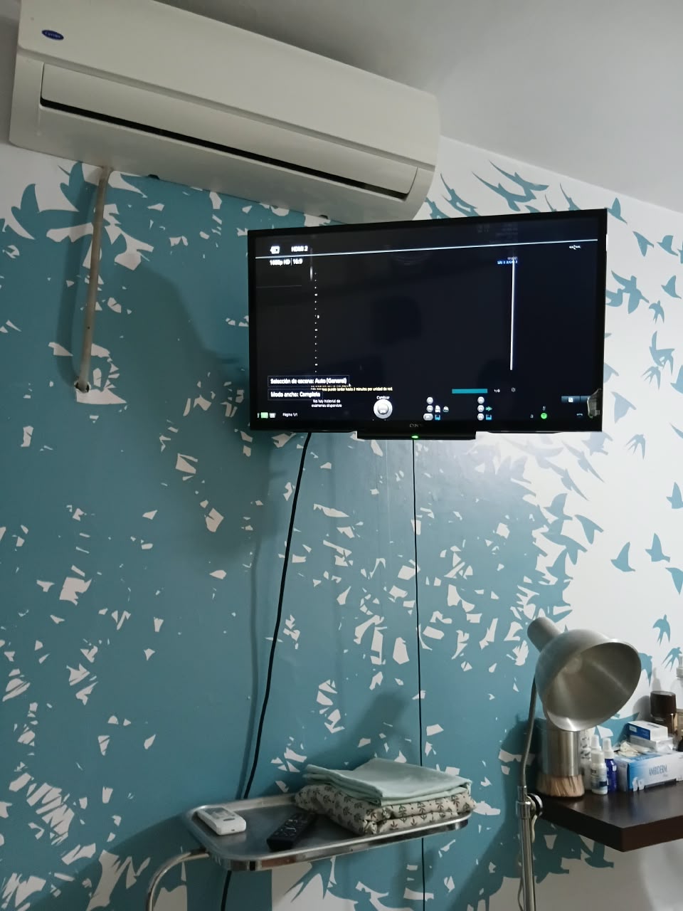 Pantalla HD de visualización del ultrasonido en tiempo real para la paciente y su acompañante